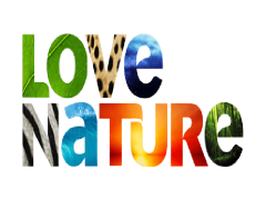 LOVE NATURE